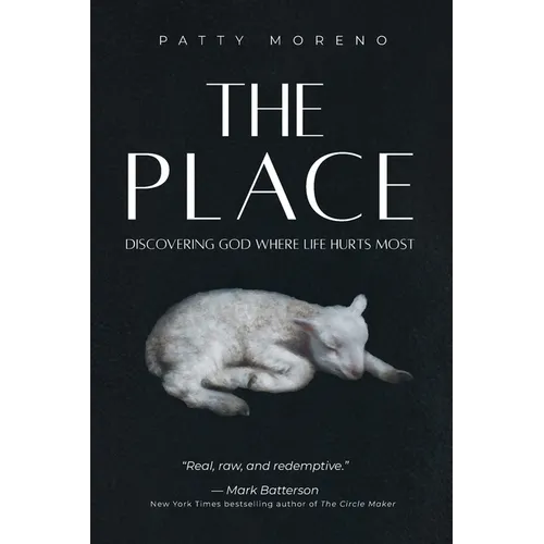 The Place: Discovering God Where Life Hurts Most
