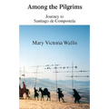 Among the Pilgrims: Journeys to Santiago De Compostela