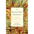 A Beautiful Disaster: Finding Hope in the Midst of Brokenness