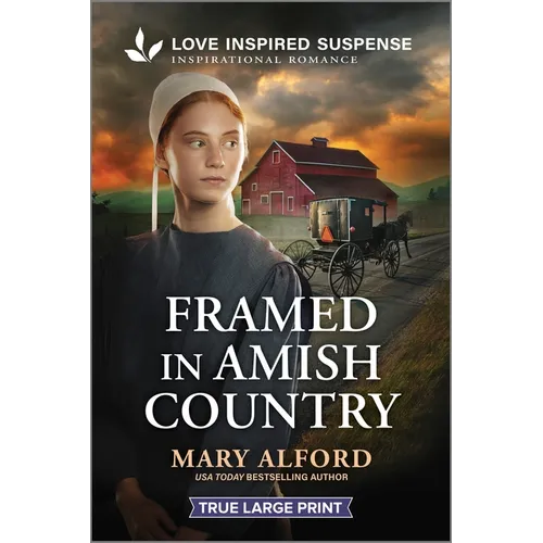 Framed in Amish Country