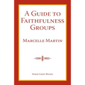 A Guide To Faithfulness Groups