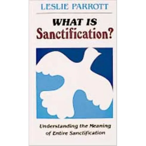 What Is Sanctification?: Understanding the Meaning of Entire Sanctification