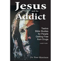 Jesus and the Addict: Twelve Bible Studies for People Getting Free from Drugs A Leader's Guide
