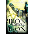 Iron Sharpens Iron