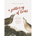 A Gathering of Larks: Letters to Saint Francis from a Modern-Day Pilgrim