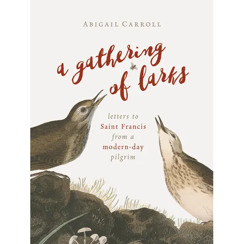 A Gathering of Larks: Letters to Saint Francis from a Modern-Day Pilgrim