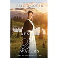 Beside Still Waters: A Big Sky Novel