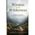 Witness in the Wilderness: Trusting God's Promise for the Road You Didn't Choose