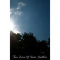 Two Lives Of Saint Cuthbert: A Life By An Anonymous Monk Of Lindisfarne And Bede's Prose Life