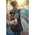 No Chance Meeting