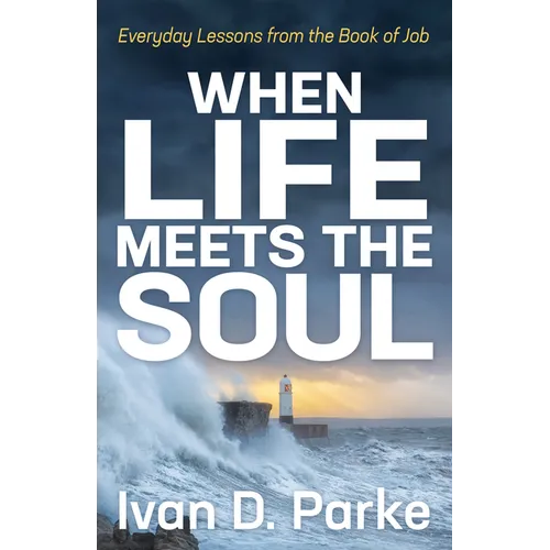 When Life Meets the Soul: Everyday Lessons from the Book of Job