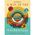 A Way in the Wilderness: Meeting God in the Desolate Places of Scripture--A 6-Week Bible Study with Video Access