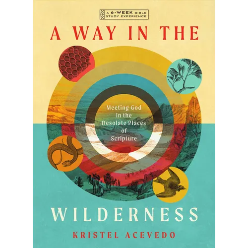 A Way in the Wilderness: Meeting God in the Desolate Places of Scripture--A 6-Week Bible Study with Video Access