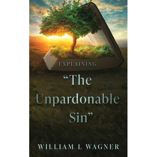 Explaining "The Unpardonable Sin"