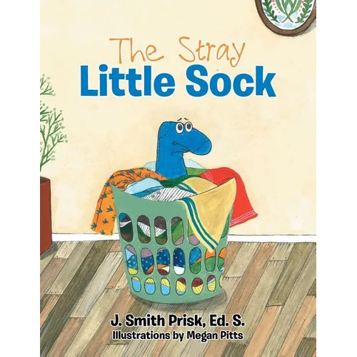 The Stray Little Sock