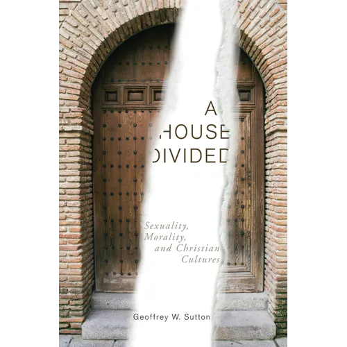 A House Divided: Sexuality, Morality, and Christian Cultures