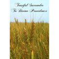 Trustful Surrender To Divine Providence