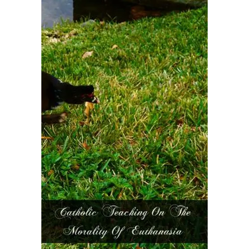 Catholic Teaching On The Morality Of Euthanasia