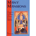 Many Mansions: An Introduction to the Development and Diversity of Medieval Theology Volume 146