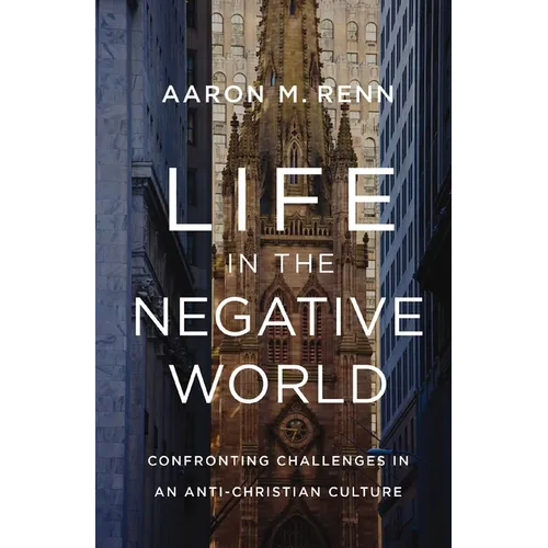 Life in the Negative World: Confronting Challenges in an Anti-Christian Culture