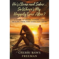 He's Clean and Sober...So Where's My Happily Ever After?: A Guide to Seeing, Naming, and Healing From Post-Addiction Abuse