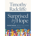 Surprised by Hope: Further Meditations on Synodality