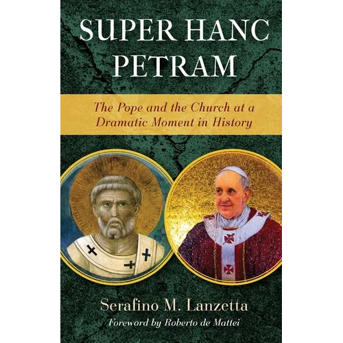 Super Hanc Petram: The Pope and the Church at a Dramatic Moment in History