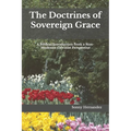 The Doctrines of Sovereign Grace: A Biblical Introduction from a Non-Moderate Calvinist Perspective