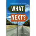 What Next?: God-Given Strategies for Life Stabilization