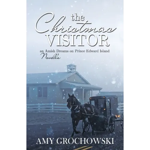 The Christmas Visitor