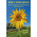 Why I Need Jesus: Who Is God? What Does that Mean for Me? Why Should I Care?