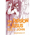 The Passion of Jesus in the Gospel of John: Volume 4