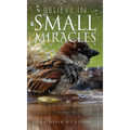 Believe in Small Miracles: Look for small miracles in your life.
