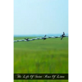 The Life Of Saint Rose Of Lima