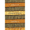 African Immigrant Religions in America