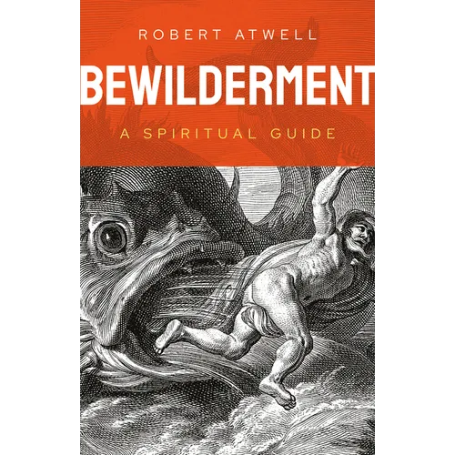 Bewilderment: A Spiritual Guide
