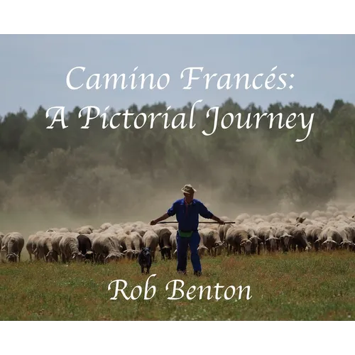 Camino Francés: A Pictorial Journey